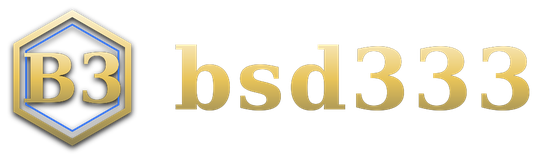bsd333 logo